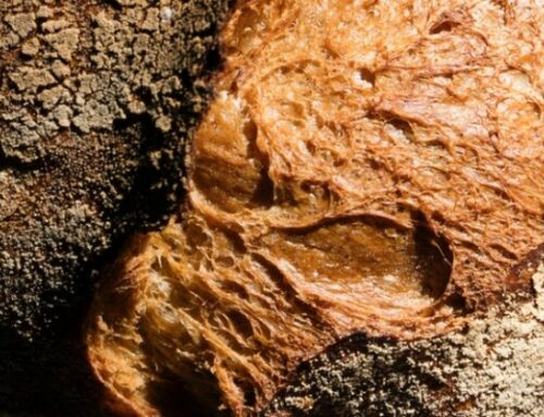 Què en sabem del pa?